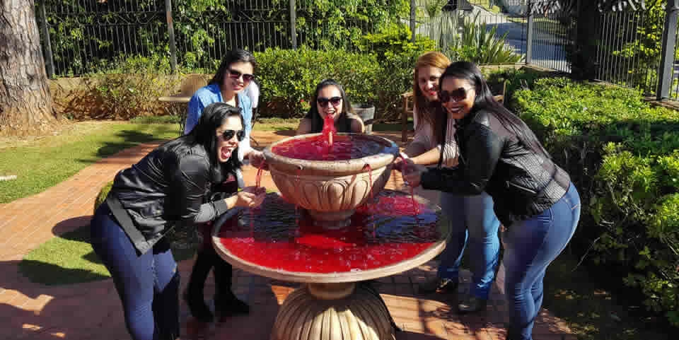 Excursão para São Roque I Rota do Vinho I Angulo Travel